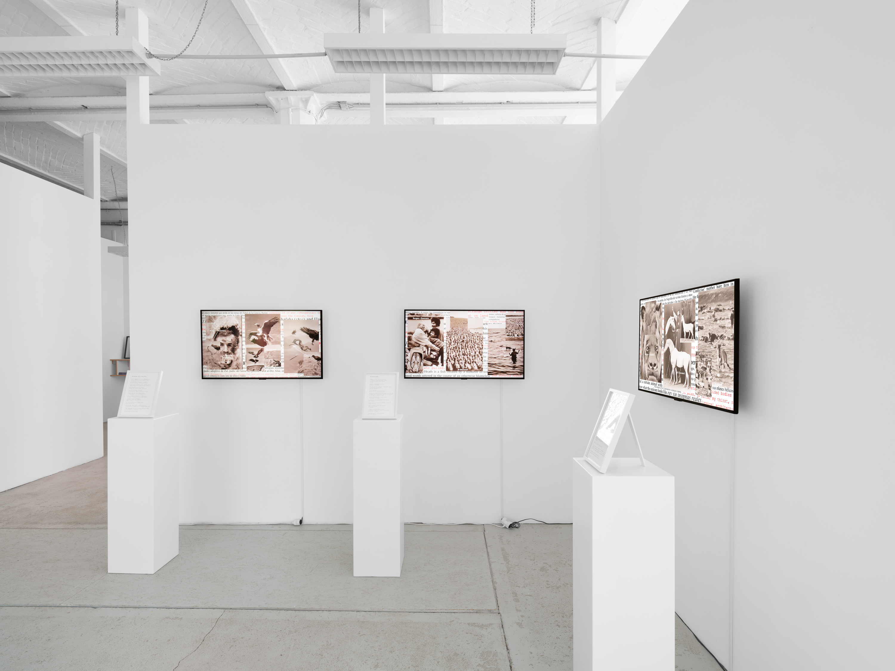 Vorschaubild Ana María Caballero