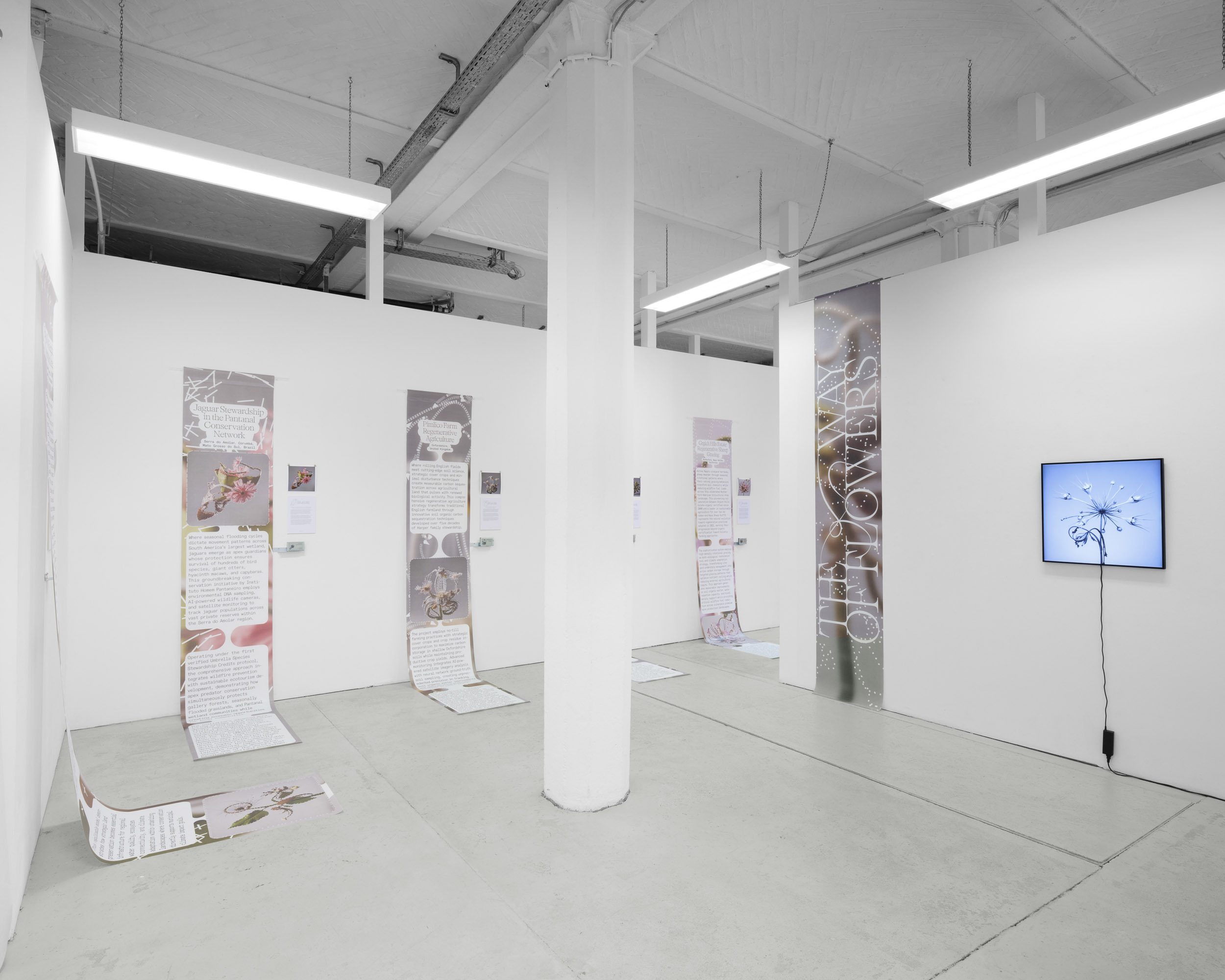 Vorschaubild CROSSLUCID